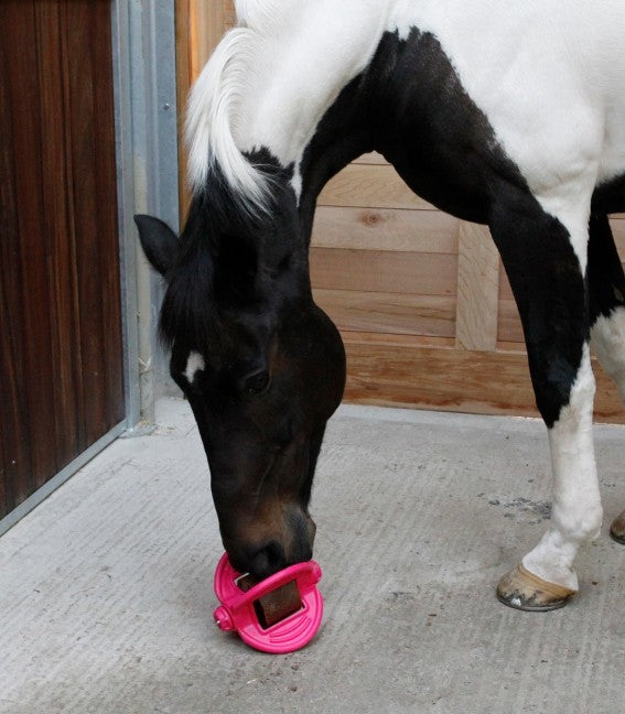 Support friandises 3 en 1 Bizzy Ball - Bizzy Horse