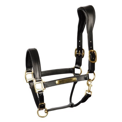 Licol en cuir Anatomic - Harry&
