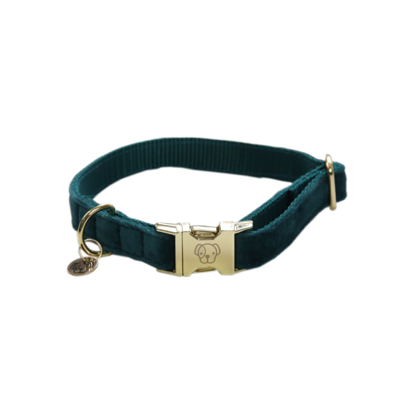 Collier pour chien Velvet - Kentucky