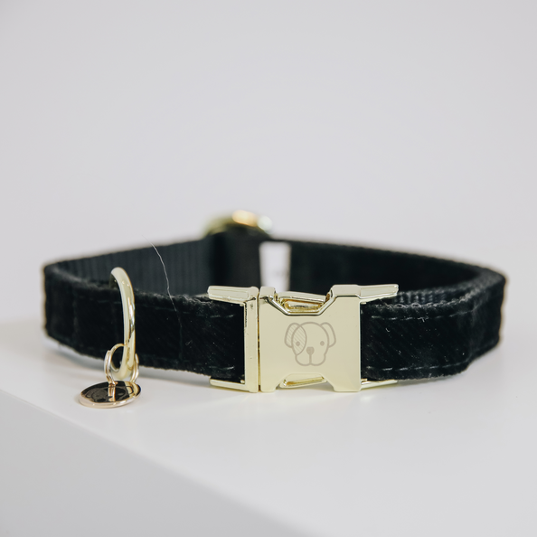 Corduroy dog collar - Kentucky