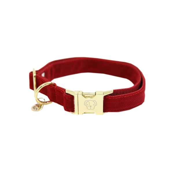 Corduroy dog collar - Kentucky