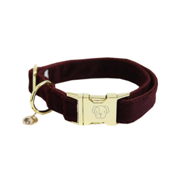 Corduroy dog collar - Kentucky