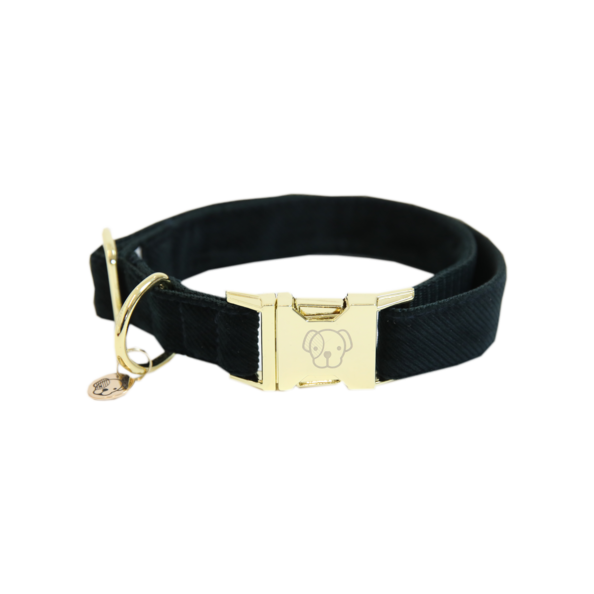 Corduroy dog collar - Kentucky