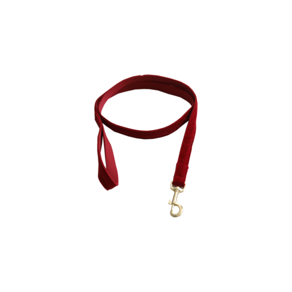 Corduroy Dog Leash - Kentucky