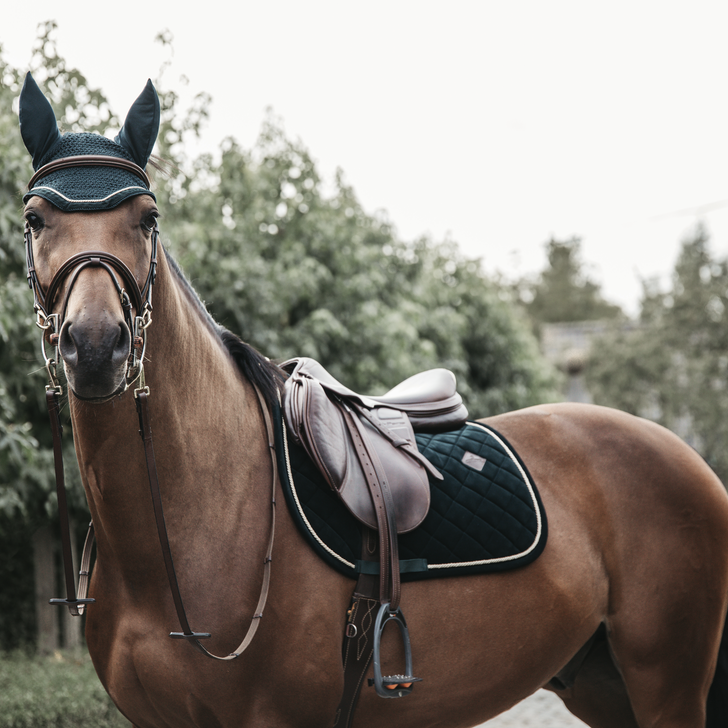 Tapis de selle Corduroy DRESSAGE- Kentucky