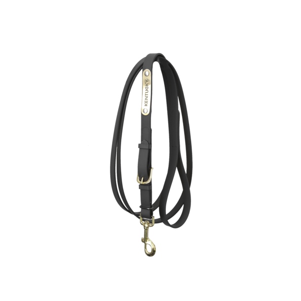 Presentation lanyard - Kentucky