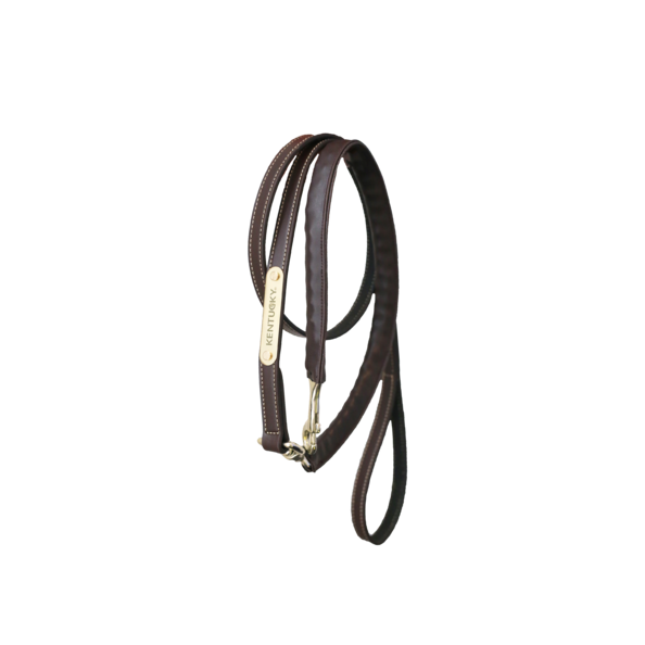 Leather covered presentation lead - Kentucky