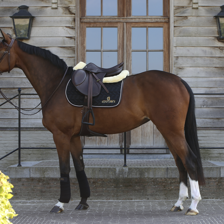 Tapis de selle - Kentucky