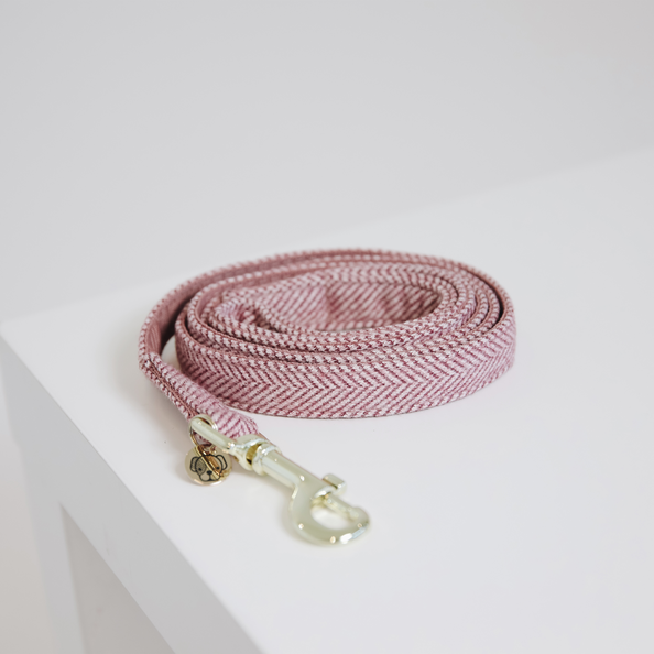 Laisse pour chien Wool - Kentucky