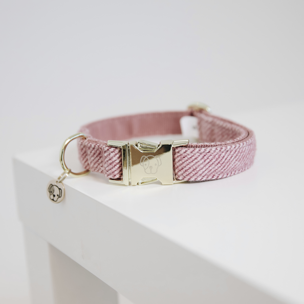 Collier pour chien Wool - Kentucky