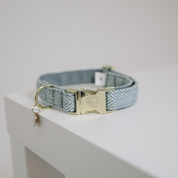Collier pour chien Wool - Kentucky