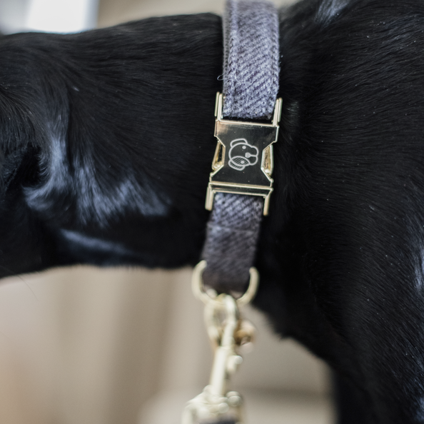 Collier pour chien Wool - Kentucky