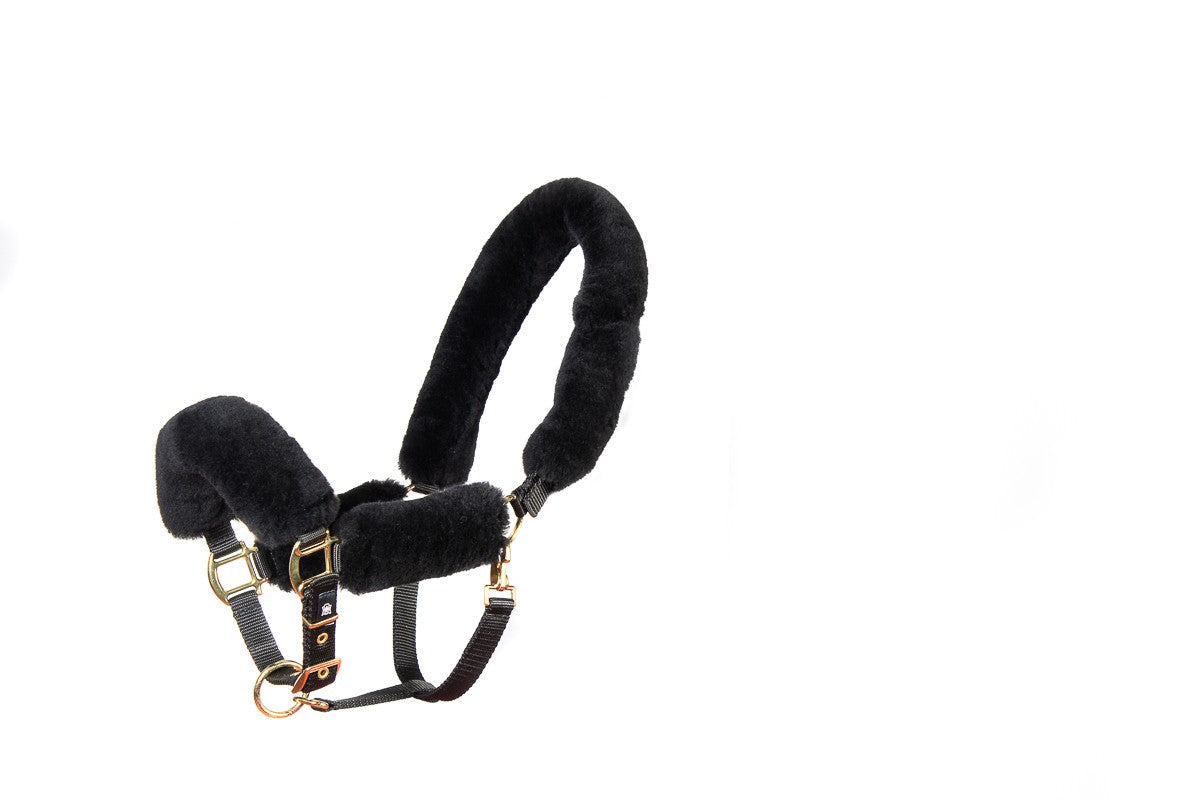 Mattes Deluxe Winter 2020 Edition Halter and Lead - Black
