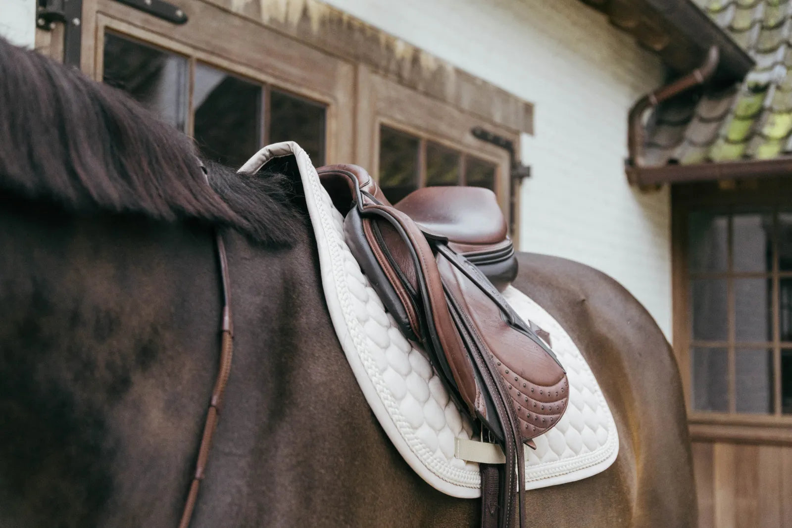 Tapis de selle Plaited Cord MIXTE - Kentucky