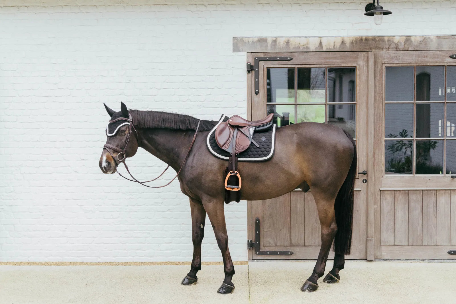 Tapis de selle Plaited Cord MIXTE - Kentucky