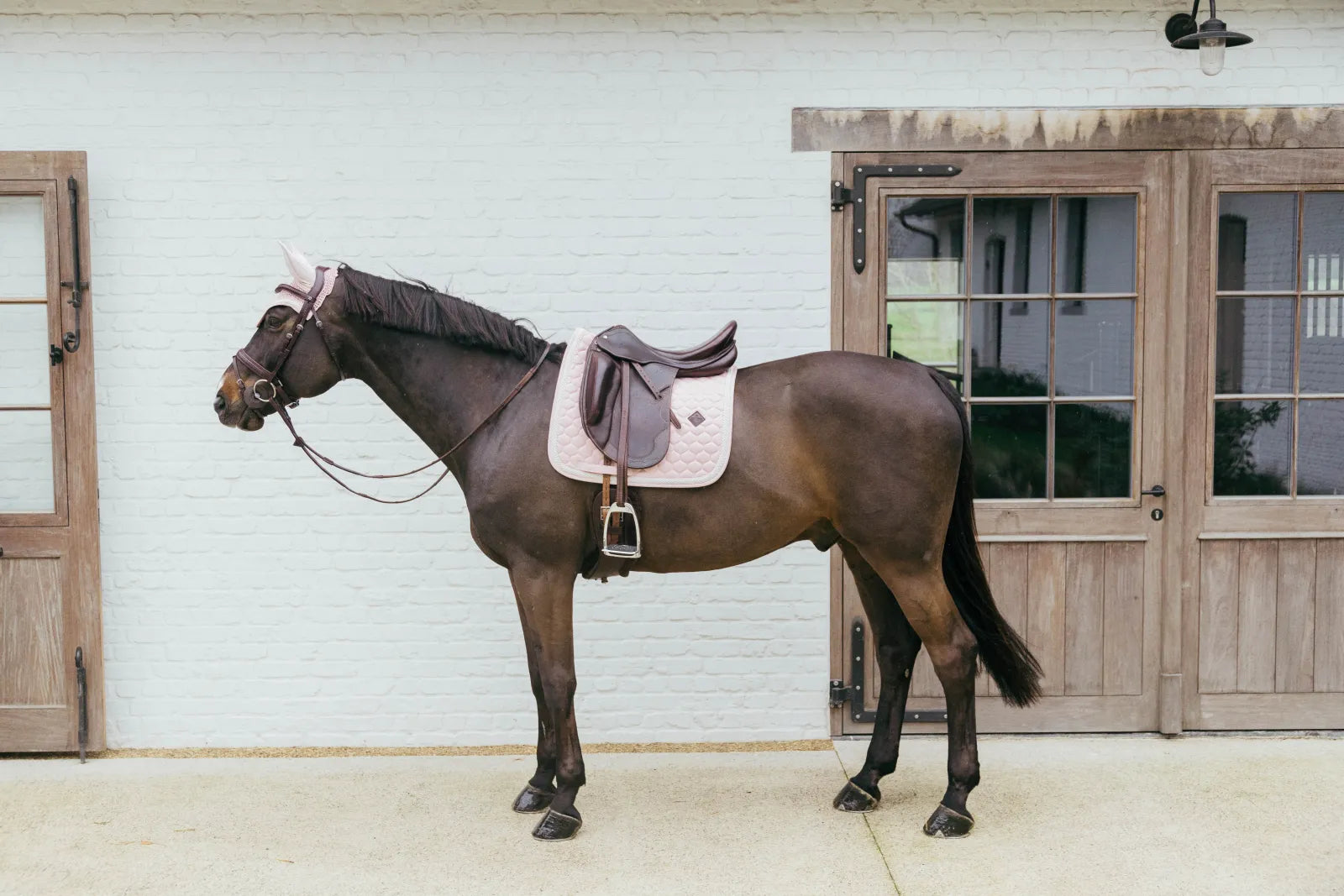 Tapis de selle Plaited Cord DRESSAGE - Kentucky