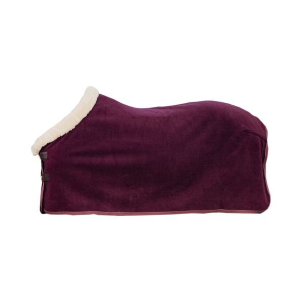 Show Heavy Drying Blanket - Kentucky