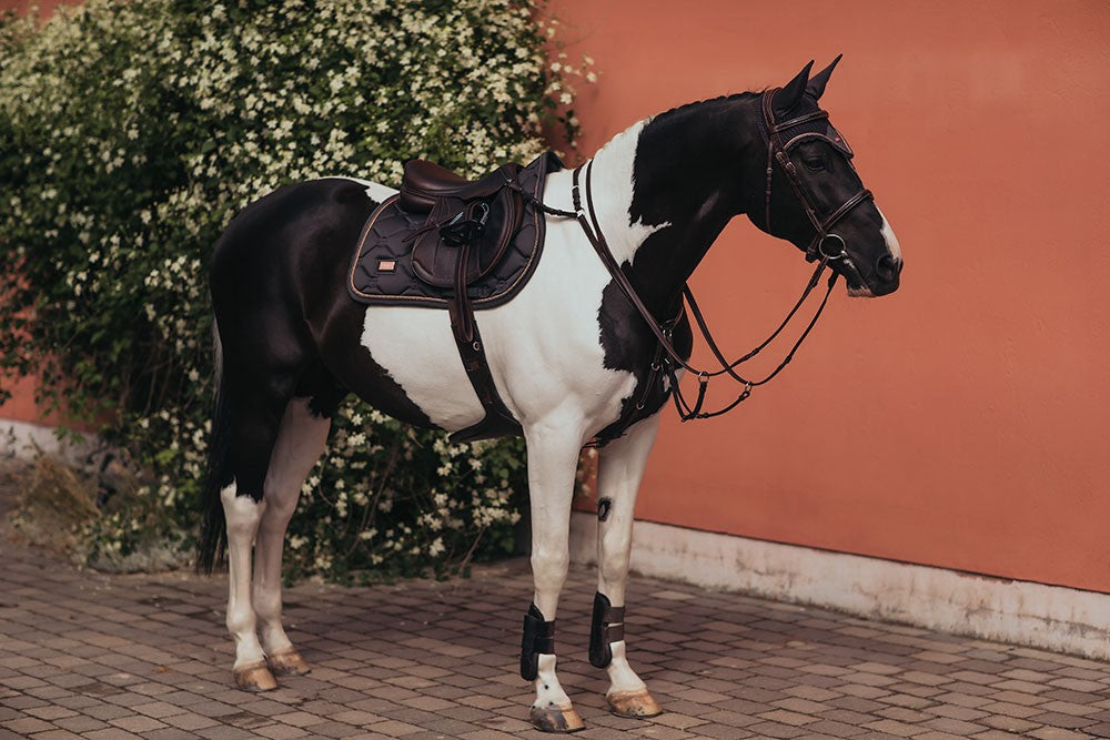 Tapis de selle Dark Sky MIXTE - Equestrian Stockholm