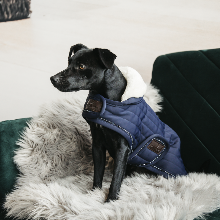 Pearls dog coat - Kentucky