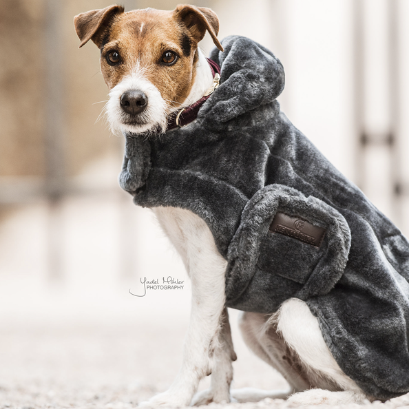 Faux fur dog coat - Kentucky
