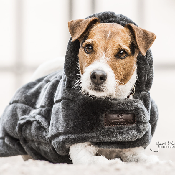 Faux fur dog coat - Kentucky