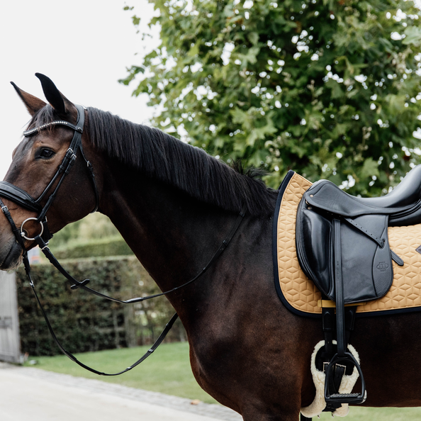 Tapis Softshell MIXTE - Kentucky