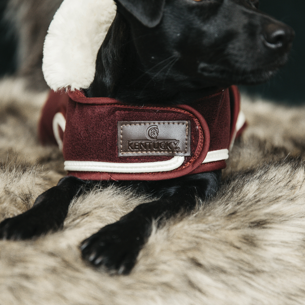 Heavy Fleece dog coat - Kentucky