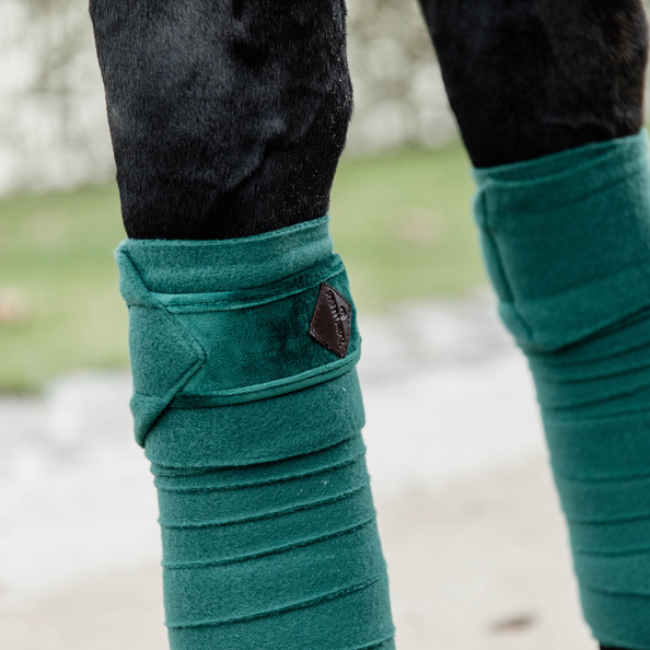 Velvet Polo Bands - Kentucky