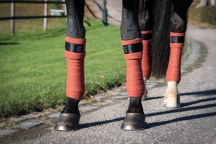 Bandes polaire Cinnamon Spice - Equito