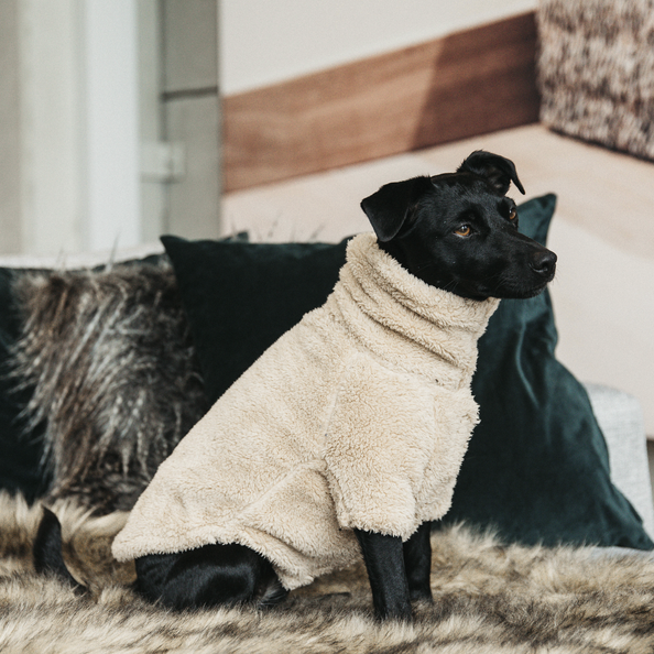 Pull pour chien Teddy Fleece - Kentucky