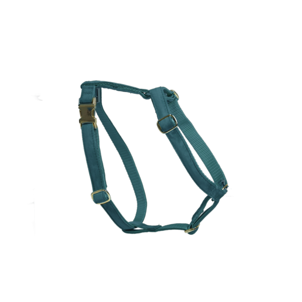 Velvet Dog Harness - Kentucky