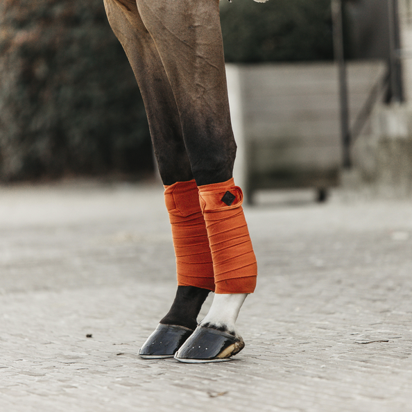Bandes de polo Velvet - Kentucky