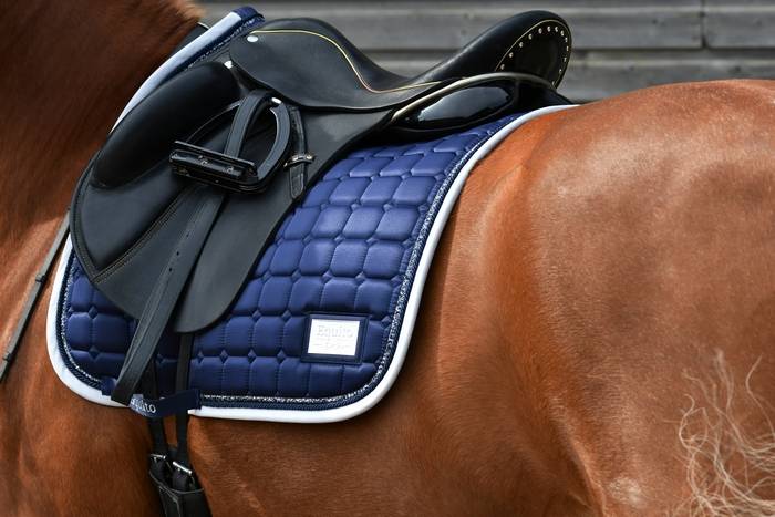 Navy Shimmer Rug - Equito