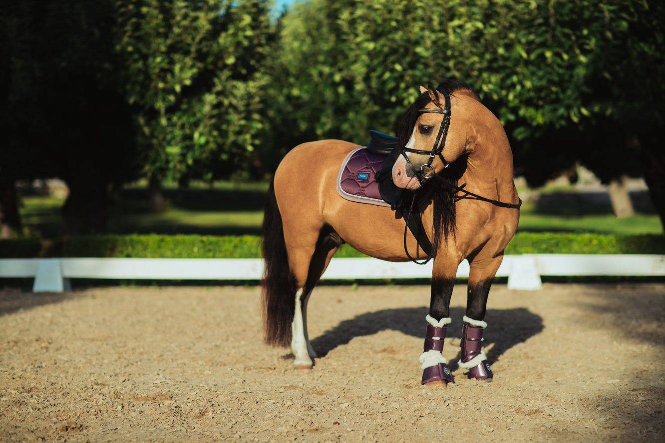 Tapis de selle Orchid Bloom DRESSAGE - Equestrian Stockholm