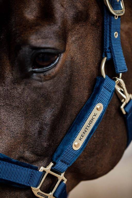 Velvet Halter - Kentucky