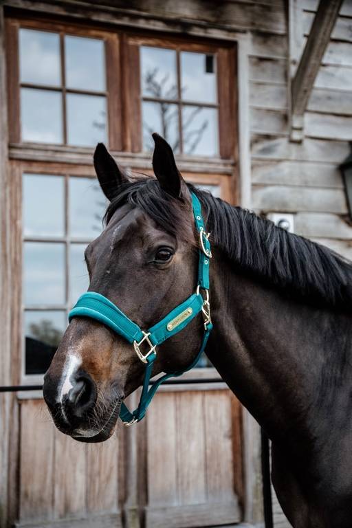 Velvet Halter - Kentucky