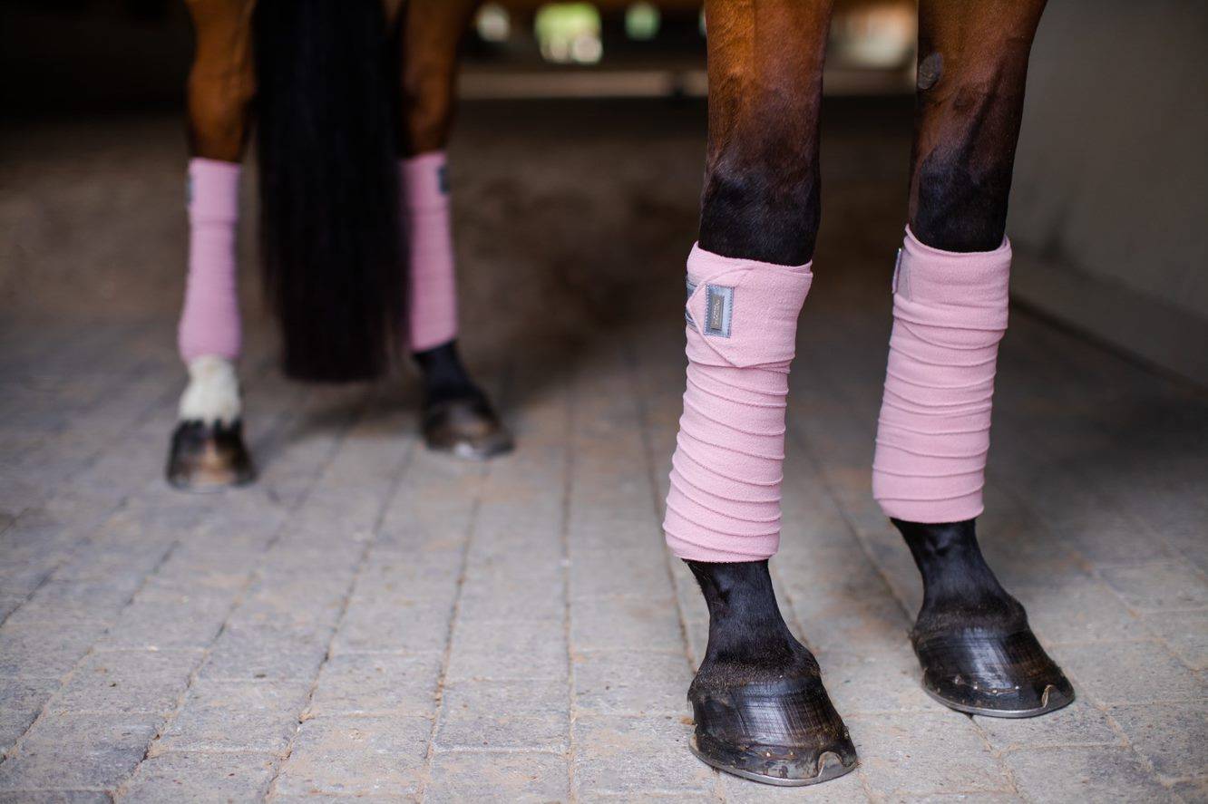 Equestrian Stockholm Polo Bands - Pink Crystal