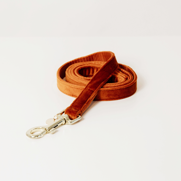 Laisse pour chien Velvet 120 cm - Kentucky