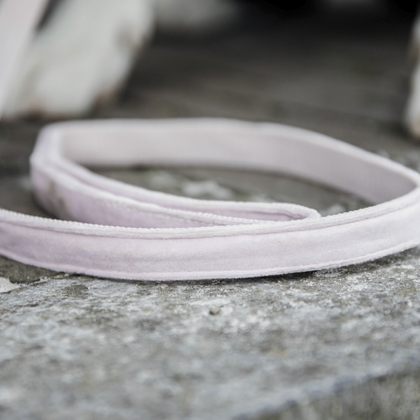 Laisse pour chien Velvet 120 cm - Kentucky