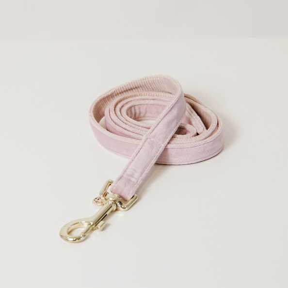 Laisse pour chien Velvet 120 cm - Kentucky