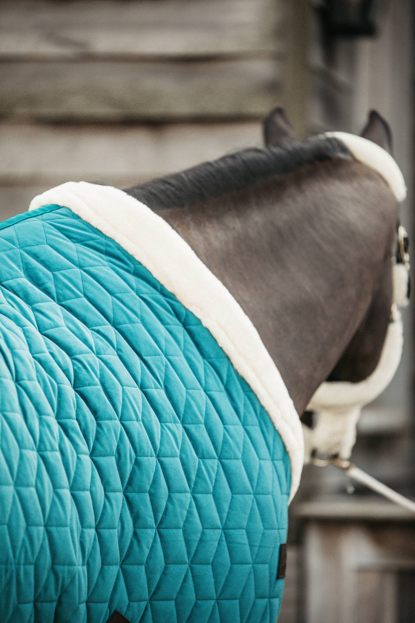 Velvet Presentation Blanket 160g Kentucky - Emerald