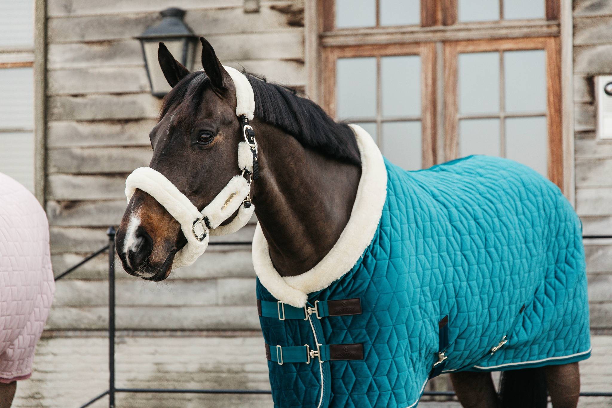 Velvet Presentation Blanket 160g Kentucky - Emerald