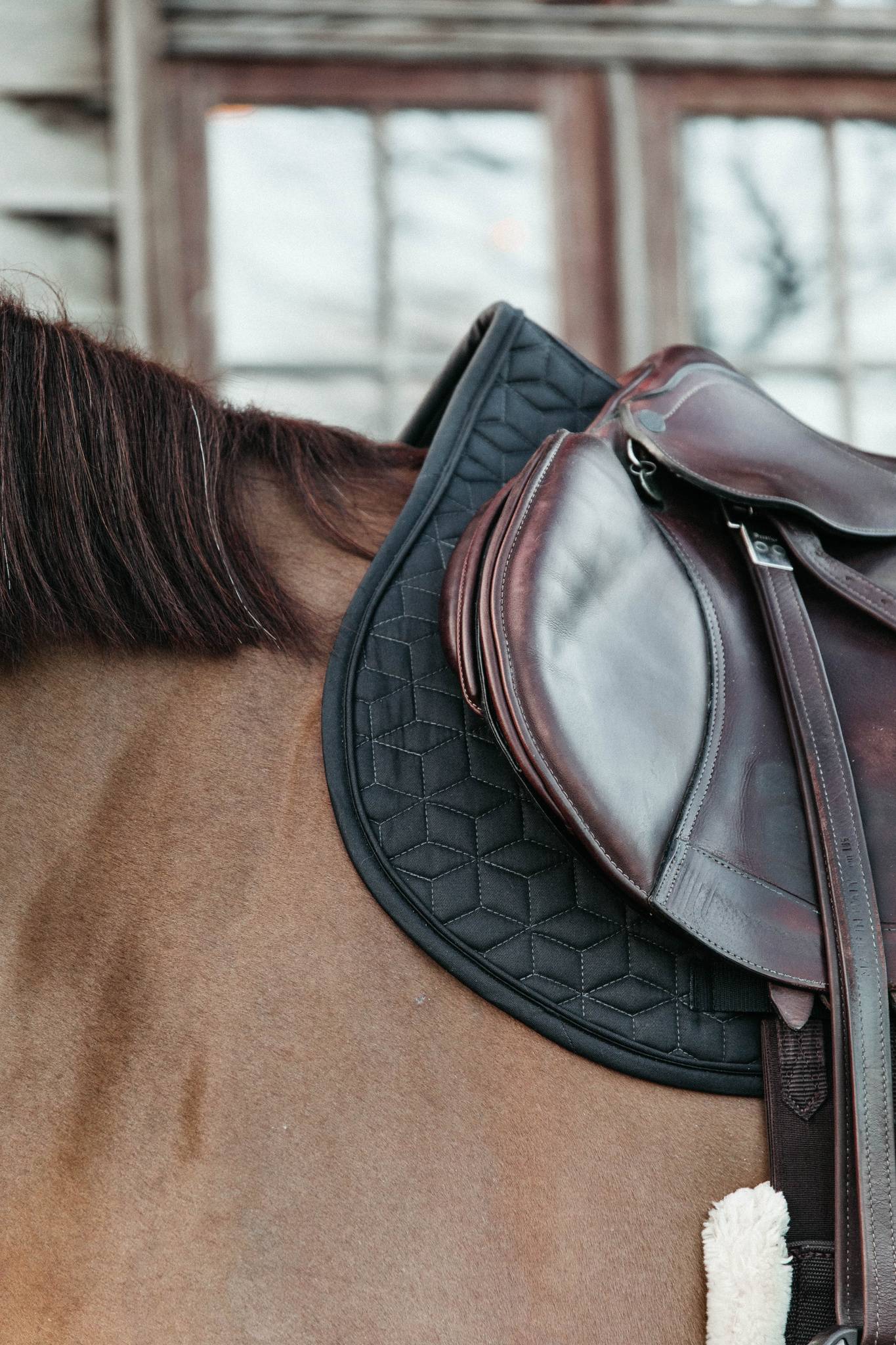 Classic saddle pad - Kentucky