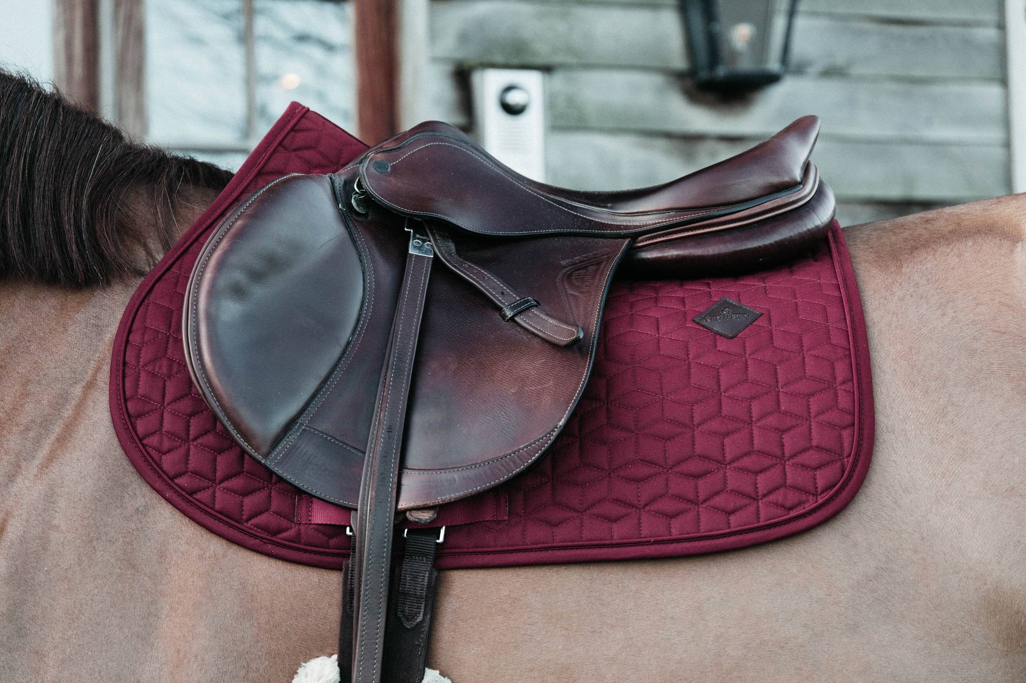 Classic saddle pad - Kentucky