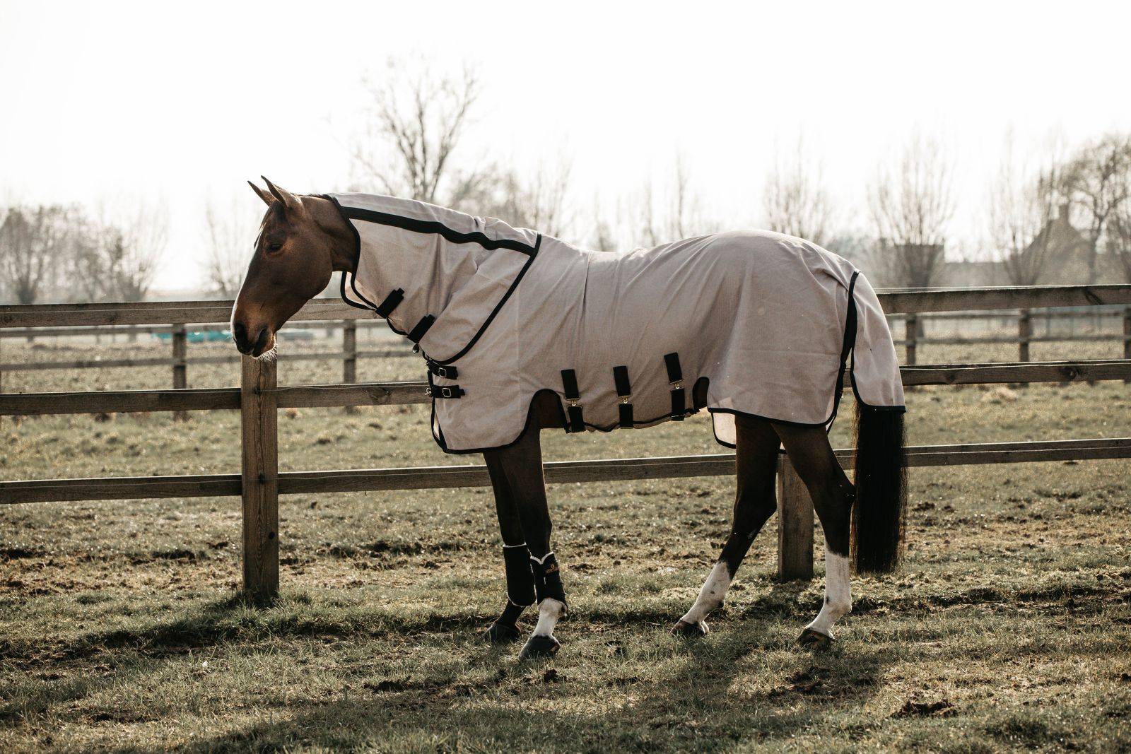 Fly Blanket - Kentucky