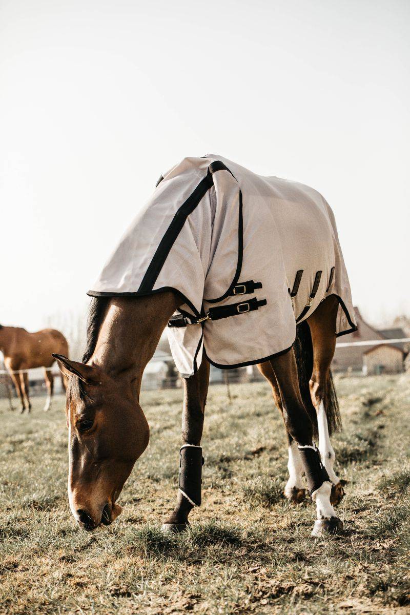 Fly Blanket - Kentucky