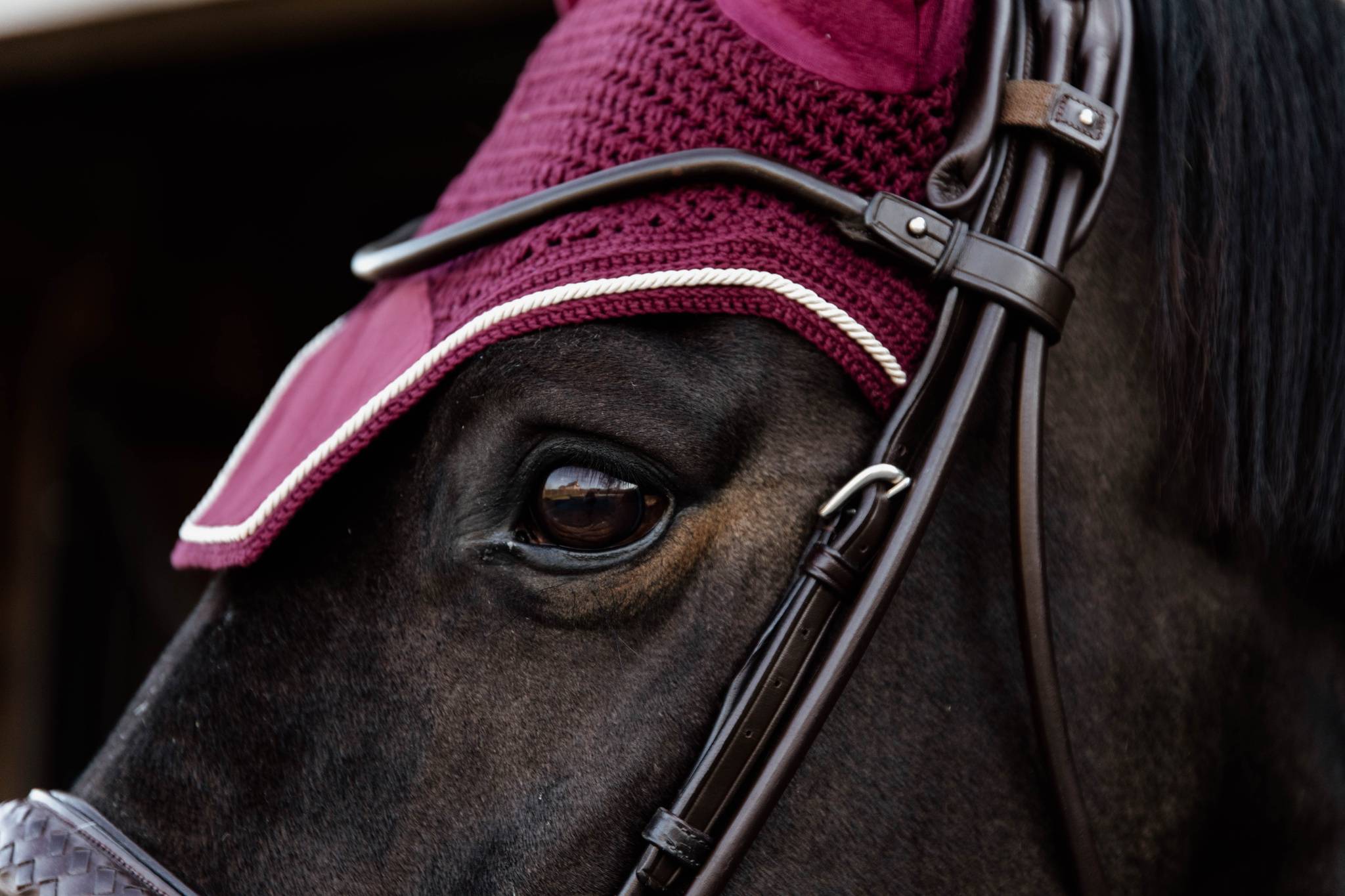 Wellington Velvet Burgundy Beanie - Kentucky