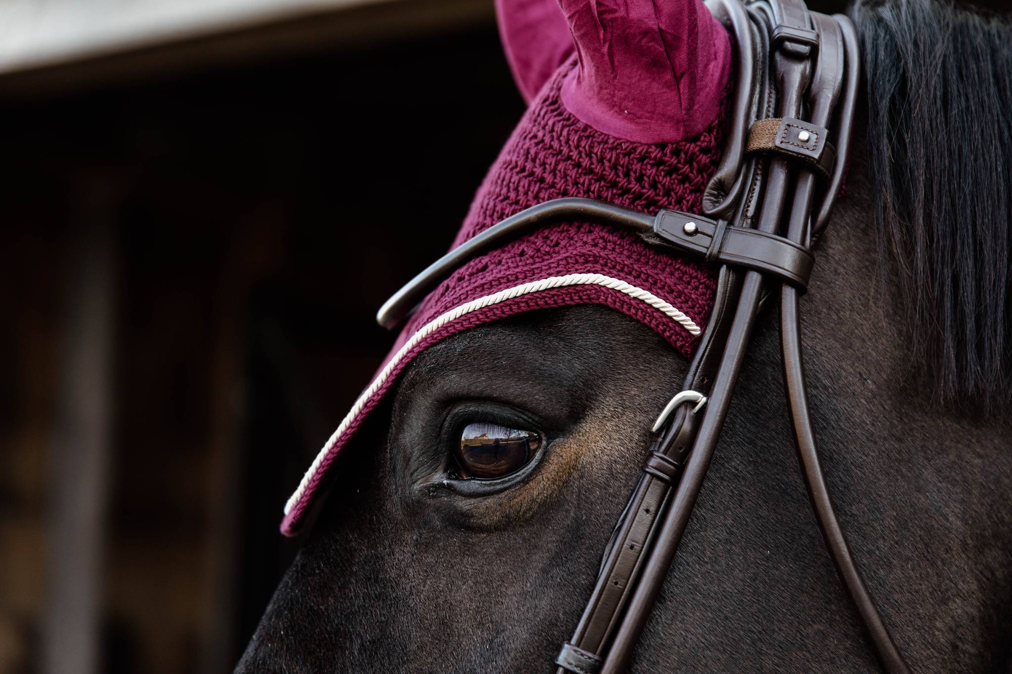 Wellington Velvet Burgundy Beanie - Kentucky
