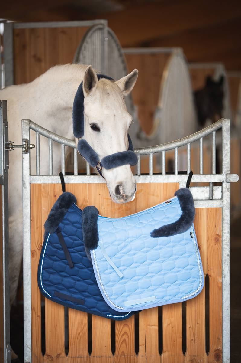 Tapis Eurofit Satiné Edition Limitée 2022 Blue MOUTON - Mattes