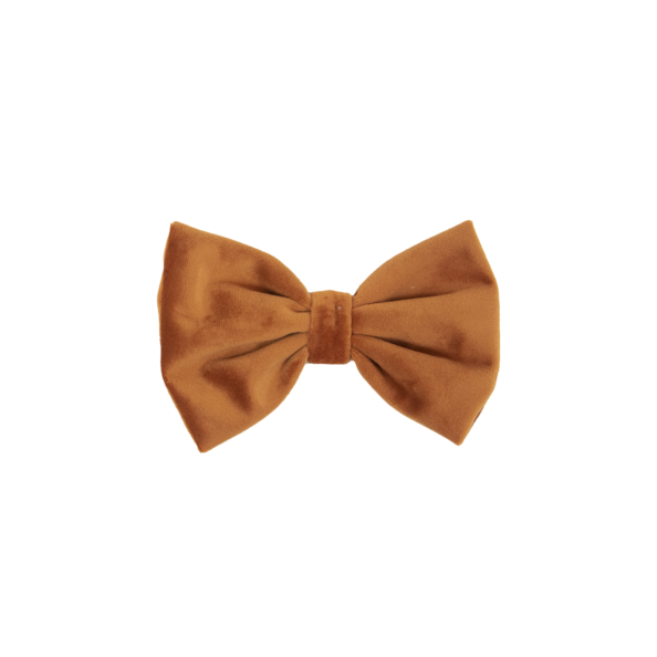 Noeud papillon velvet - Kentucky